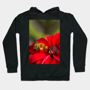 Busy Bee Hoodie